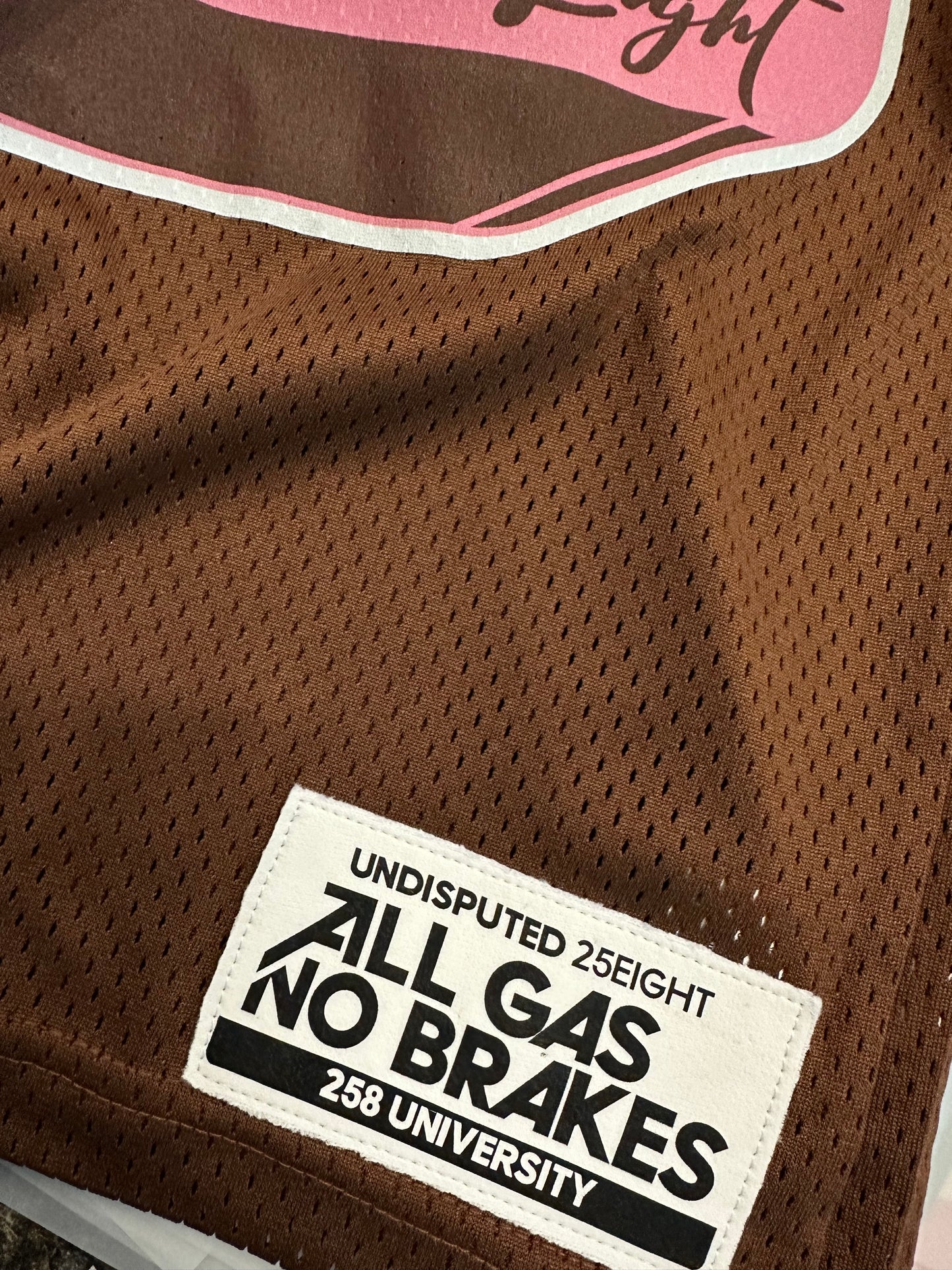 ALL GAS NO BRAKES 25/8 JERSEY