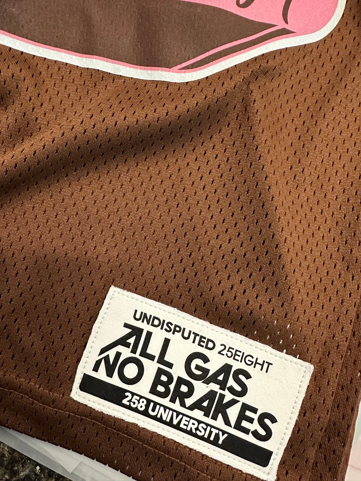 ALL GAS NO BRAKES 25/8 JERSEY